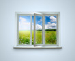Window