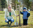 mother and son planting tree mother and son planting tree