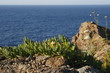 pantelleria costa  mare