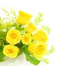 Fresh roses border