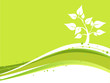 FONDO ECOLOGICO FONDO ECOLOGICO