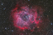 Rosette Nebula
