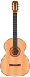 classic spanish guitar - vector