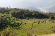 Terrassenfelder in der Annapurna-Region,