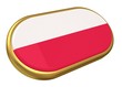 pl flag on golden frame
