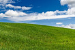 Green field with blue sky and clouds in the background