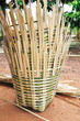 Basketry
