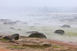 Brume de chaleur sur trebeurden Brume de chaleur sur trebeurden