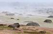 Brume de chaleur sur trebeurden