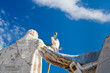 Back side of statue on roof of St. Peter's Basilica in Vatican Back side of statue on roof of St. Peter's Basilica in Vatican