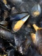 moules