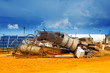 rust mess in nature