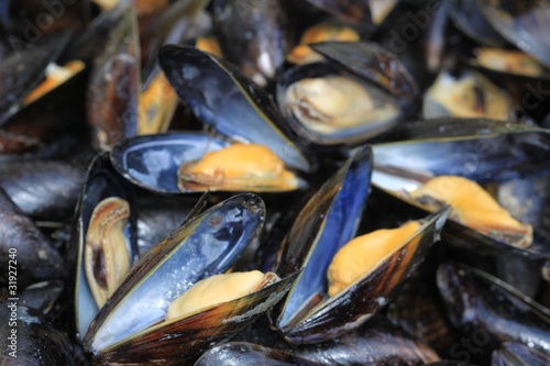 Foto: moules moules