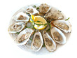 oysters plate
