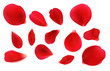 Red rose petals