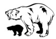 polar bear growling vector illustration