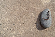 Piedra jota Piedra jota