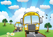 vector yellow school buses on a country road