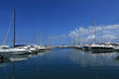 Yacht 37