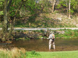 Fly Fishing, River Dove, Dovedale Fly Fishing, River Dove, Dovedale