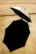 UMBRELLA