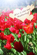 Alles Liebe zum Muttertag