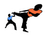 Illustration: Karate Karate