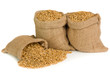 Wheat seed