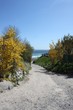Wege zum Strand