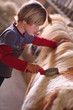 jeune garçon et son poney