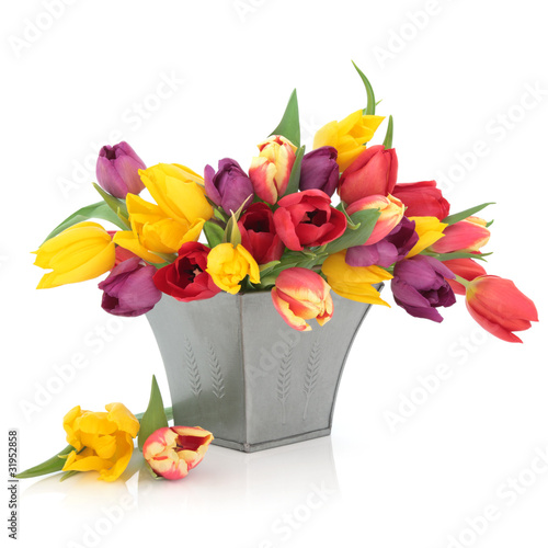 Photo: Tulip Flowers Tulip Flowers