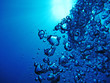 Photos : Sea bubbles