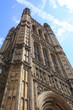 Westminister