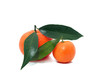 Mandarin isolated on a white background