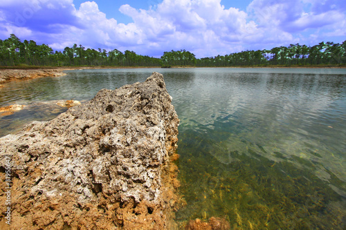 Photo: Everglades National Park - USA Everglades National Park - USA