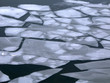 Ice Pattern Background