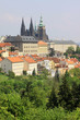 View on the spring Prague gothic Castle with the green Nature
