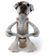 Chien et wc
