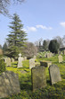 Graveyard at Aysgarth in Wensleydale, Yorkshire