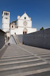 Basilica di Assisi