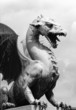 DRAGO