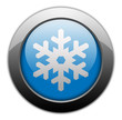 Metallic Orb Button "Winter Recreation"