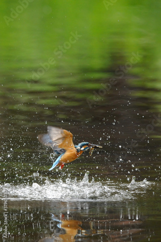 photo par dreamnikon