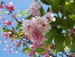 Frühlingswetter
