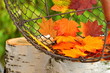 Herbstlaub