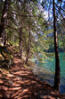 Wanderweg am See