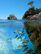 Fish and small island