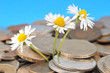 Fleurs d'argent
