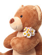 Teddy bear