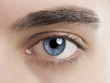 Photo: Blue eye Blue eye